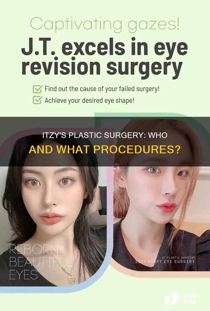 who in itzy has plastic surgeyy