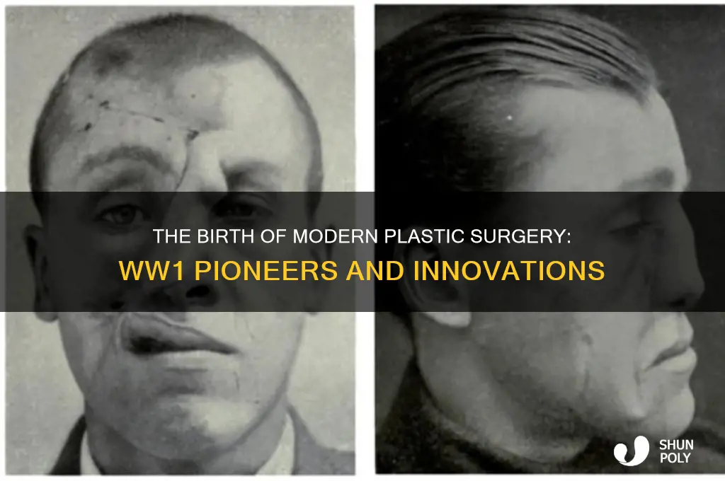 who invented plastic surgery in ww1