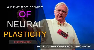 The Evolution of Neural Plasticity: A Historical Perspective
