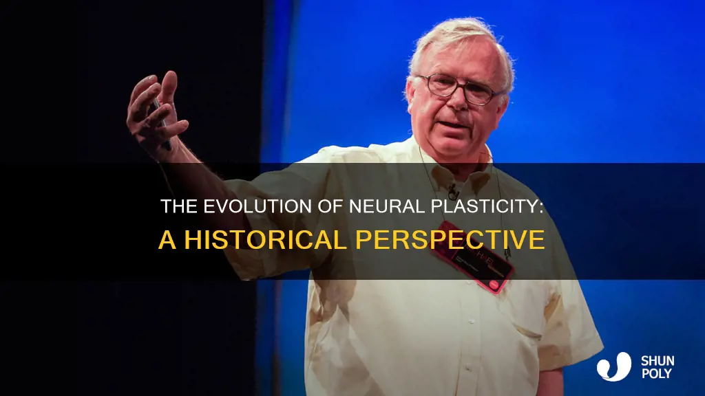 who invented the concept of neural plasticity