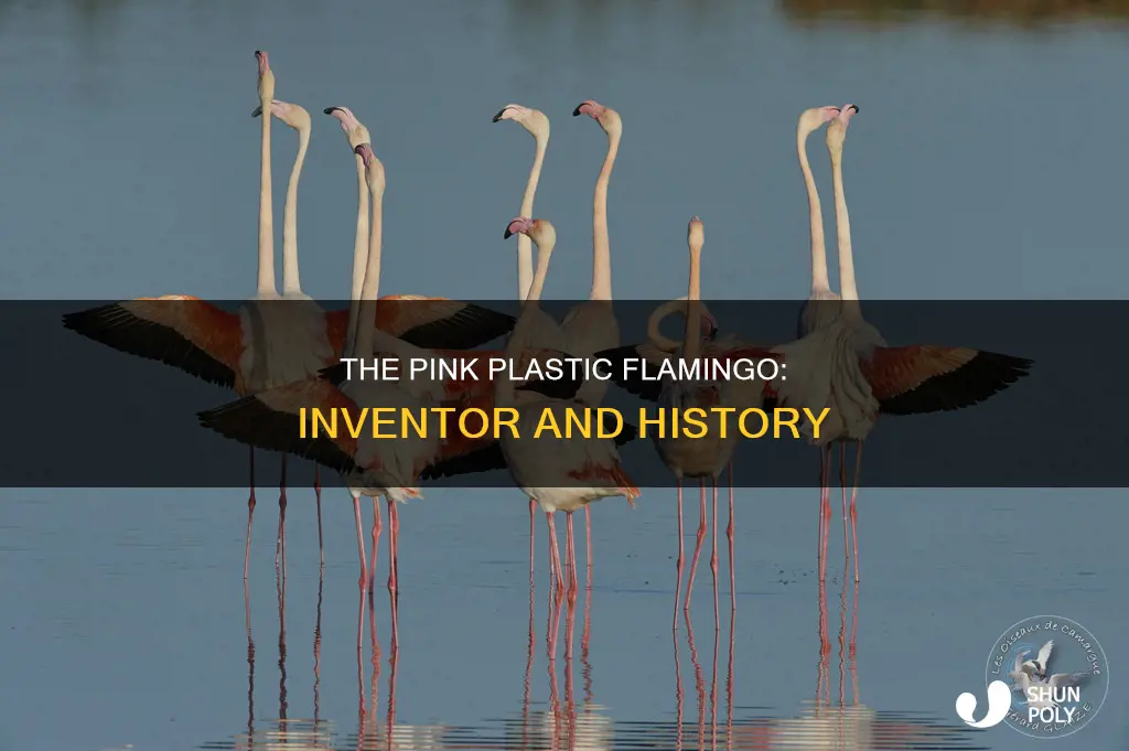 who invented the pink plastic flamingo