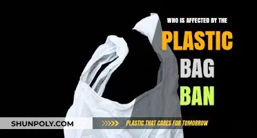 Plastic Bag Ban Impact: Who's Affected and How?