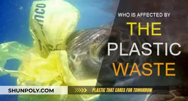 Plastic Pollution: Harming Our Planet and Future