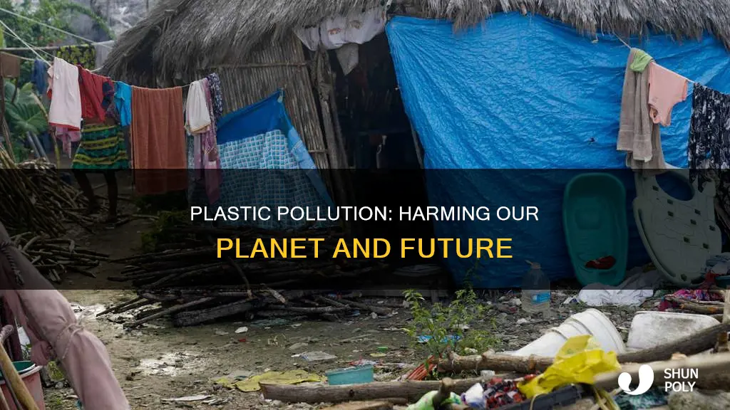 who is affected by the plastic waste