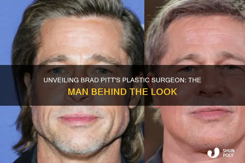 who is brad pitt
