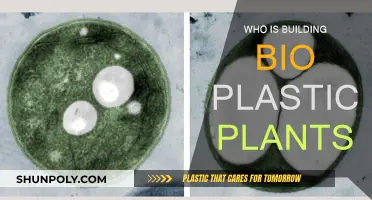 Bio-Plastics: Who's Leading the Way?