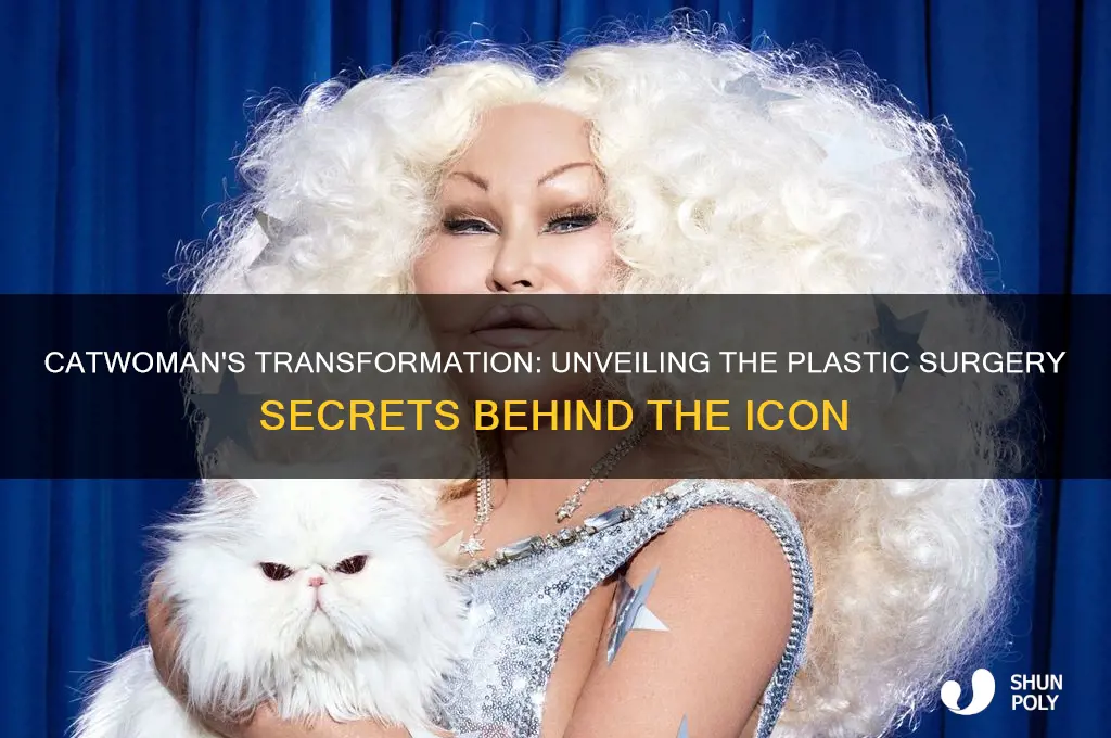 who is catwoman plastic surgery