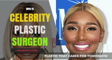 Unveiling the World of Celebrity Plastic Surgeons: Who Shapes Hollywood's Faces?