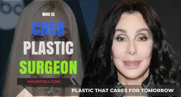 Unveiling the Mystery: Who is Cher's Plastic Surgeon?