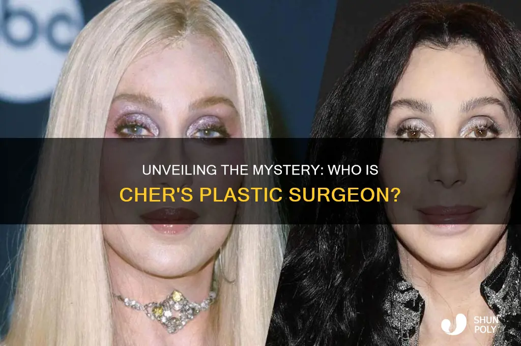 who is cher plastic surgeon