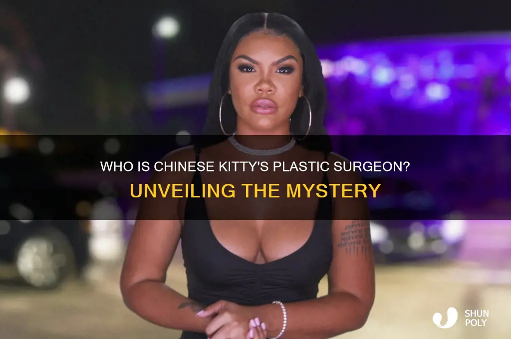 who is chinese kitty plastic surgeon