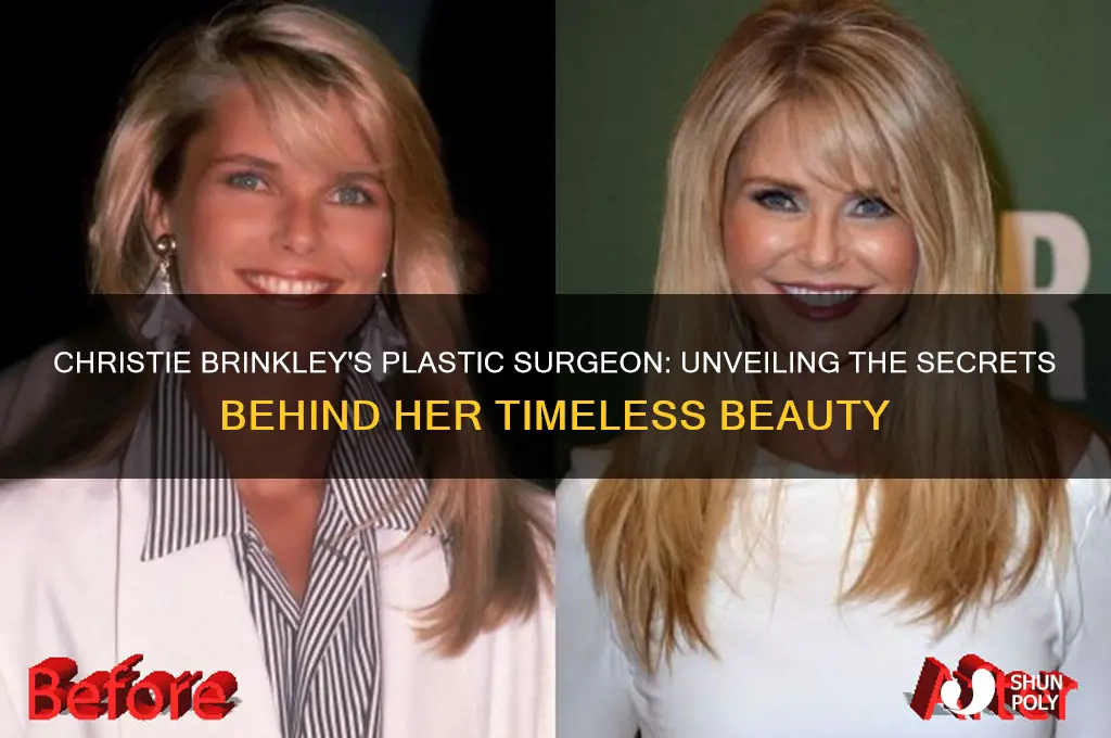 who is christie brinkley plastic surgeon