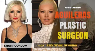 Christina Aguilera's Plastic Surgeon: Unveiling the Truth Behind Her Transformation
