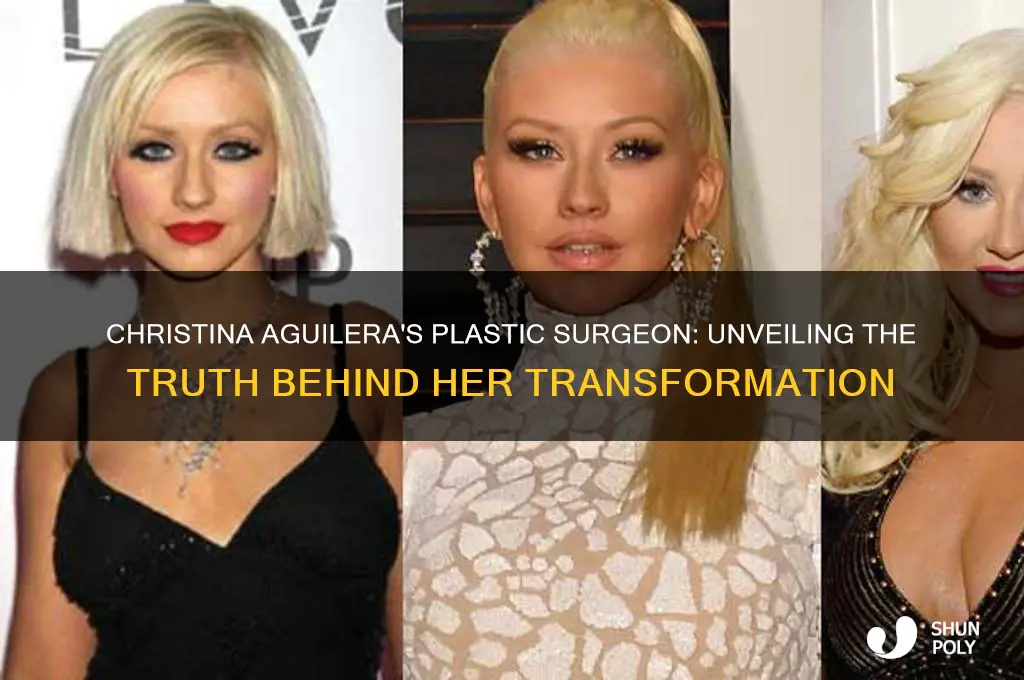 who is christina aguileras plastic surgeon