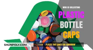 Who Collects Plastic Bottle Caps and Why It Matters