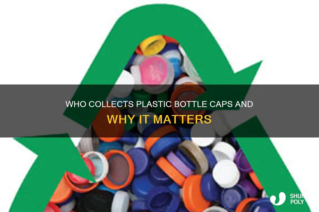 who is collecting plastic bottle caps