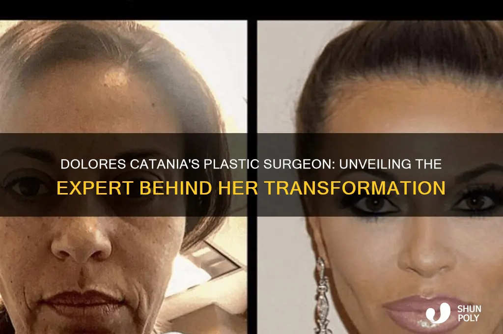 who is dolores catania plastic surgeon