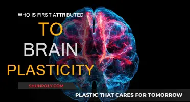 The First Discoverer of Brain Plasticity