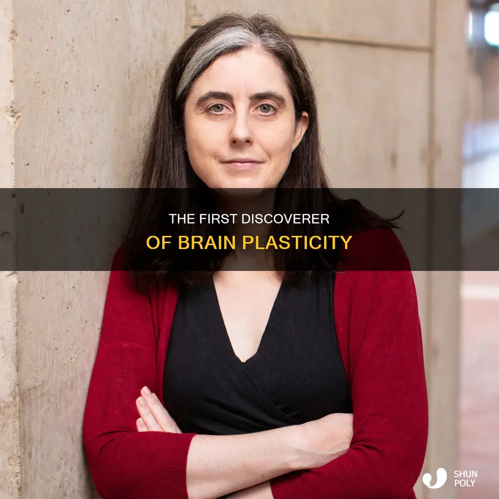 who is first attributed to brain plasticity