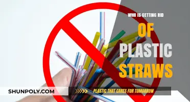 Eco-Friendly Shift: Who’s Banning Plastic Straws for a Greener Future?