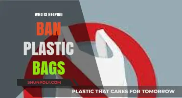 Global Efforts: Who's Leading the Charge to Ban Plastic Bags?