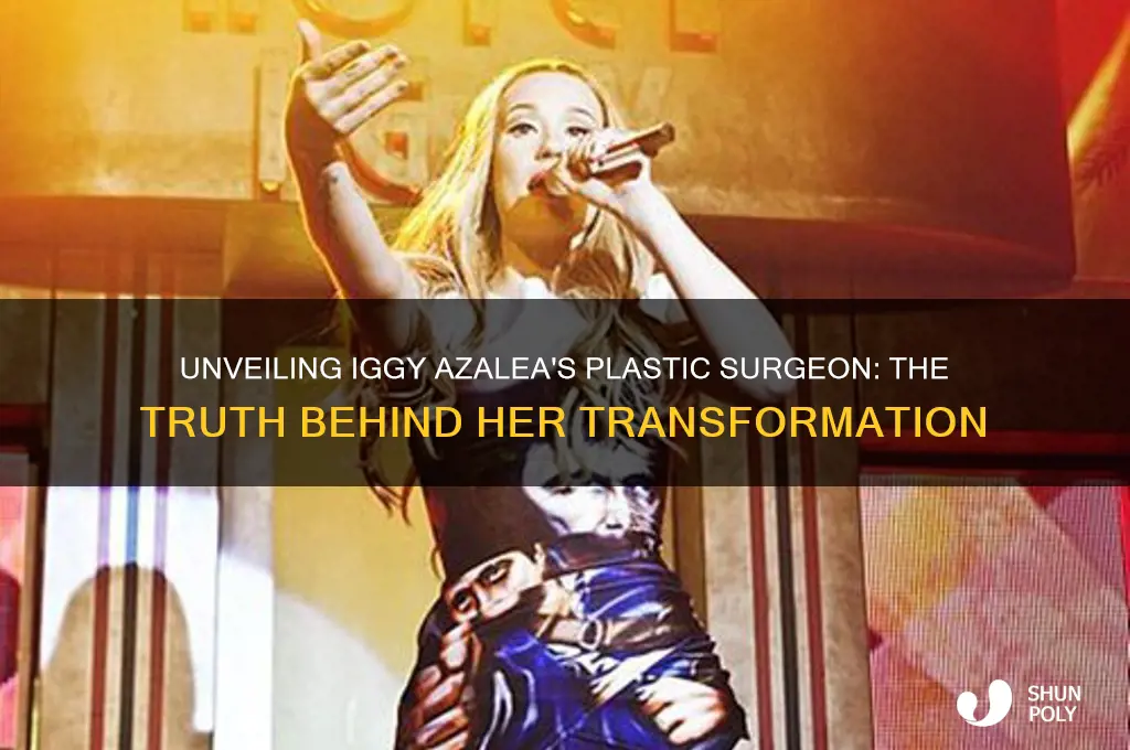 who is iggy azalea plastic surgeon