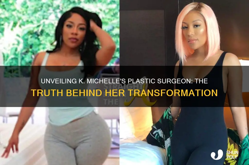 who is k michelle plastic surgeon