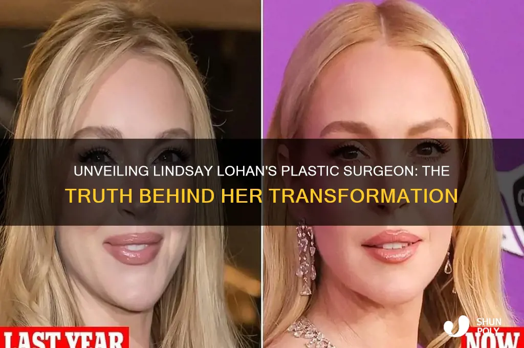 who is lindsay lohan plastic surgeon