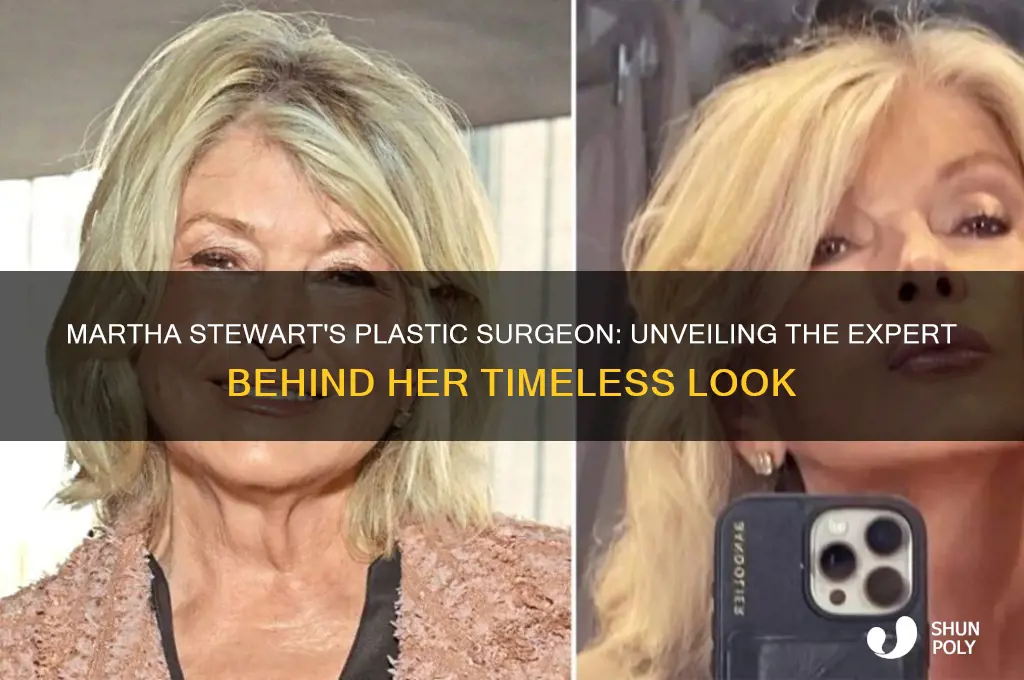 who is martha stewart plastic surgeon