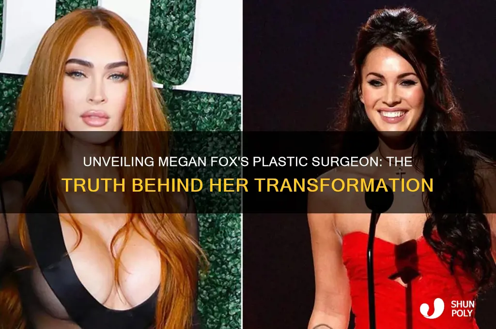 who is megan fox plastic surgeon