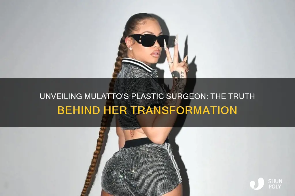 who is mulatto