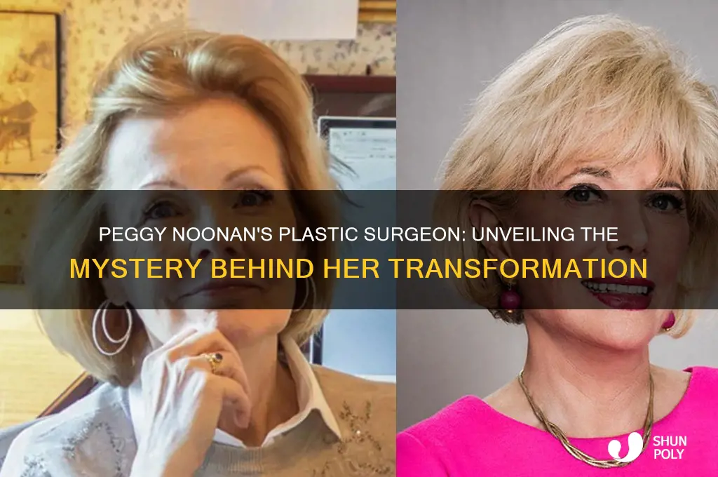 who is peggy noonan