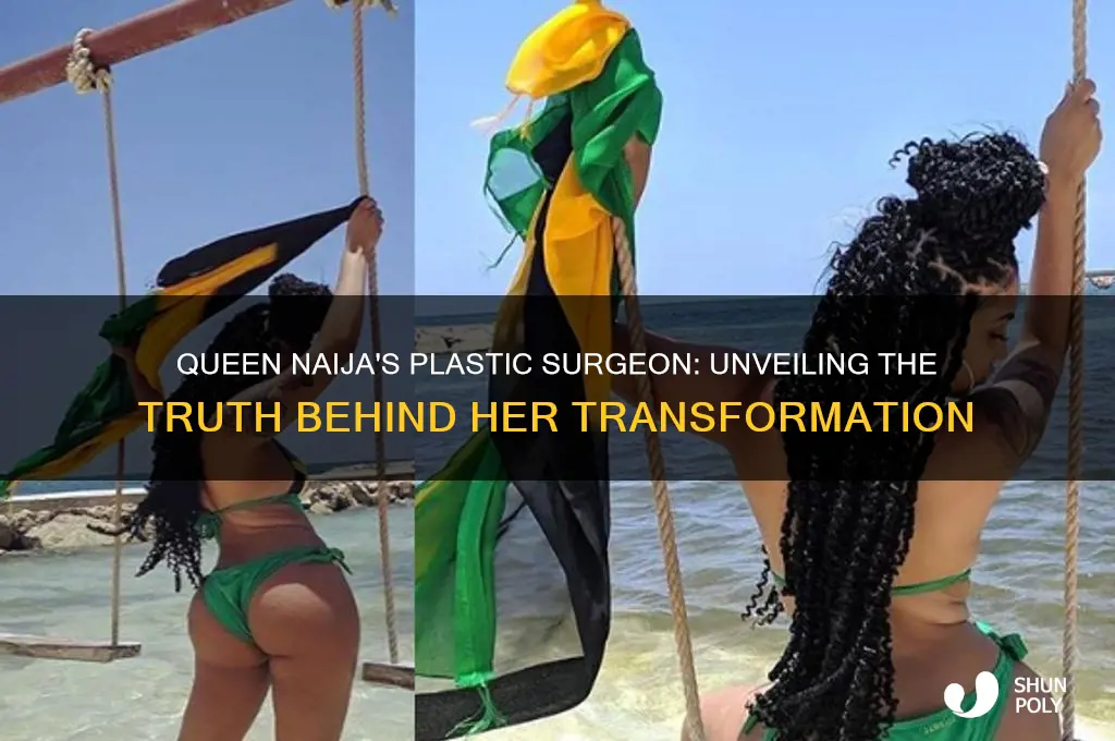 who is queen naija plastic surgeon