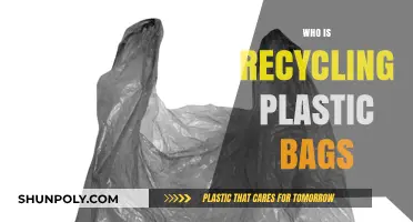 Who's Recycling Plastic Bags? Uncovering the Key Players and Initiatives