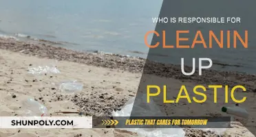 The Plastic Cleanup: Who Should Take Responsibility?