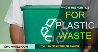 The Plastic Problem: Who Should Take Responsibility?