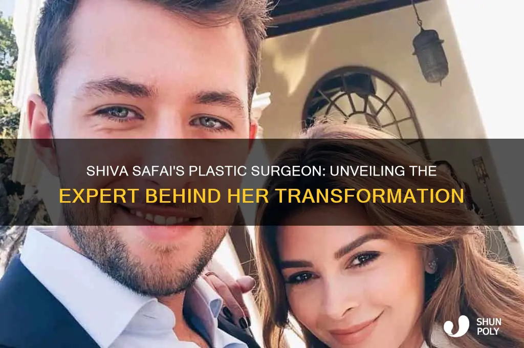 who is shiva safai plastic surgeon