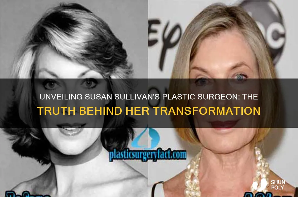 who is susan sullivan plastic surgeon