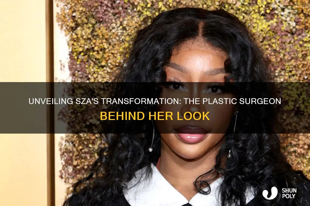 who is sza plastic surgeon