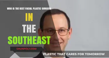 Top Southeast Facial Plastic Surgeons: Who Leads in Expertise and Results?