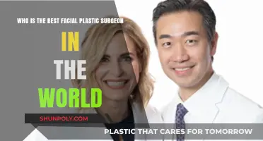 Top Global Facial Plastic Surgeons: Who Leads the Industry?