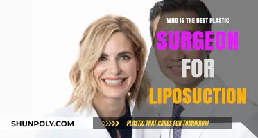 Top Plastic Surgeons for Liposuction: Expertise, Safety, and Results Compared