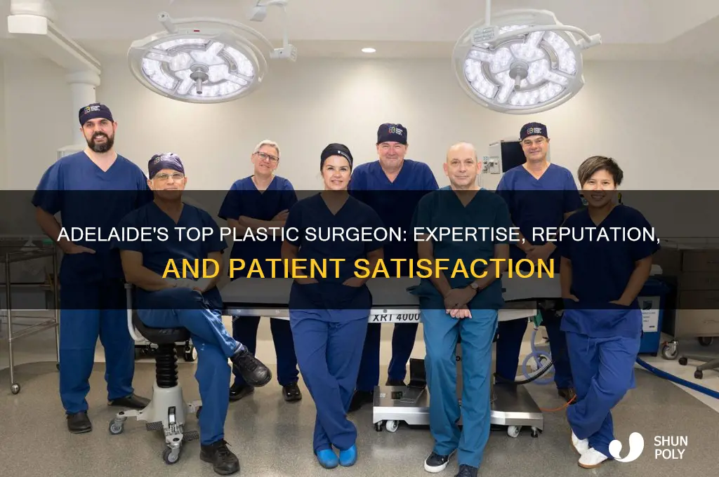 who is the best plastic surgeon in adelaide