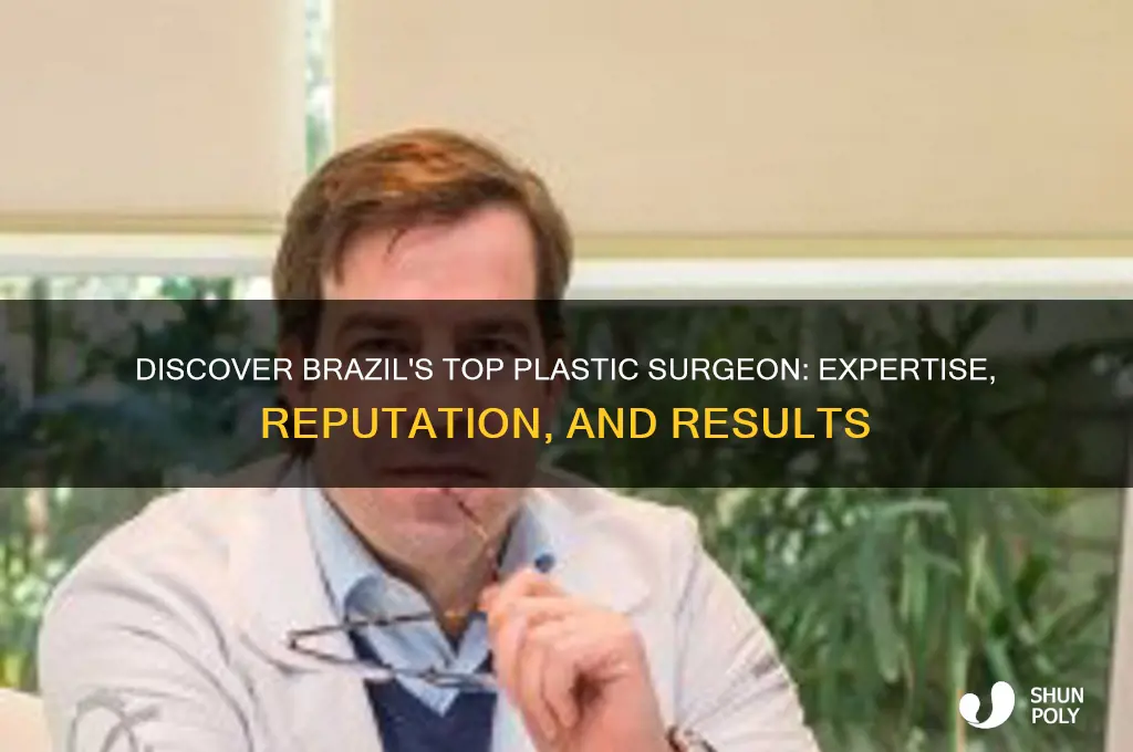 who is the best plastic surgeon in brazil