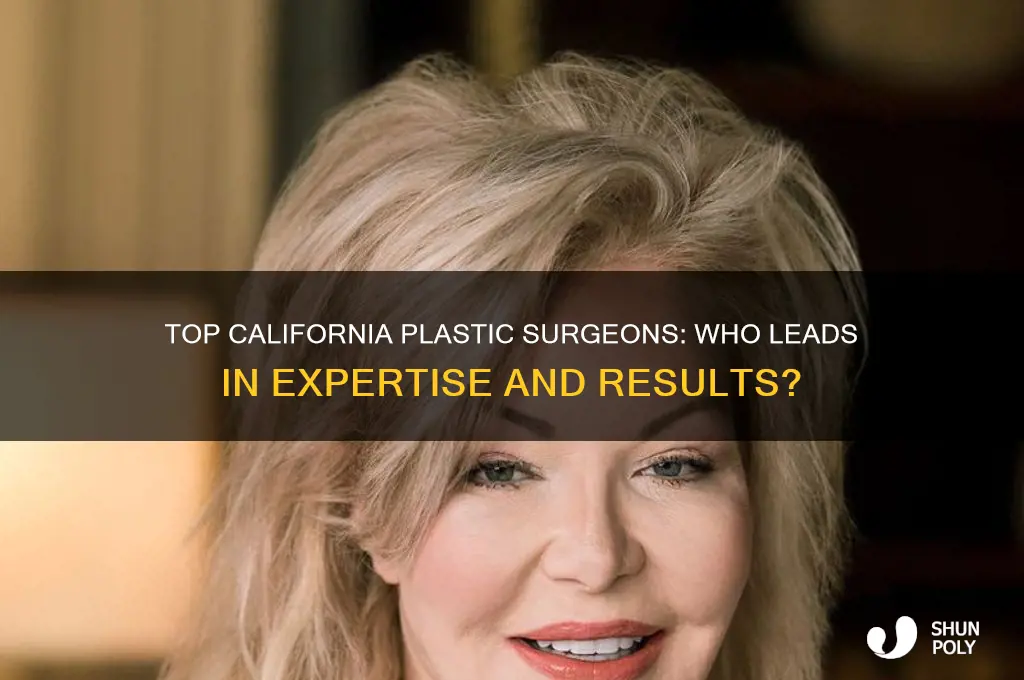 who is the best plastic surgeon in california