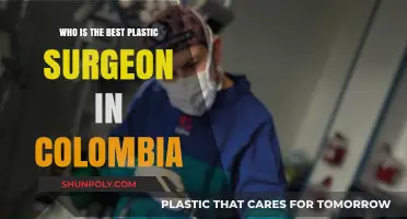 Top Colombian Plastic Surgeons: Who Leads in Expertise and Results?