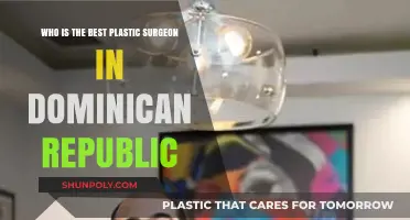 Top Dominican Republic Plastic Surgeons: Who Leads in Excellence?