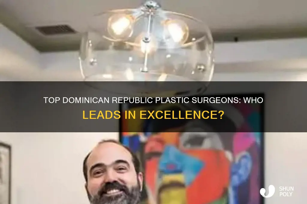 who is the best plastic surgeon in dominican republic