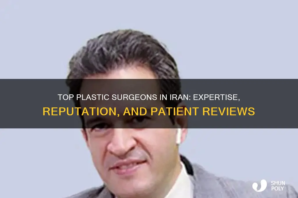 who is the best plastic surgeon in iran