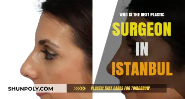 Top Istanbul Plastic Surgeons: Who Leads in Aesthetic Excellence?